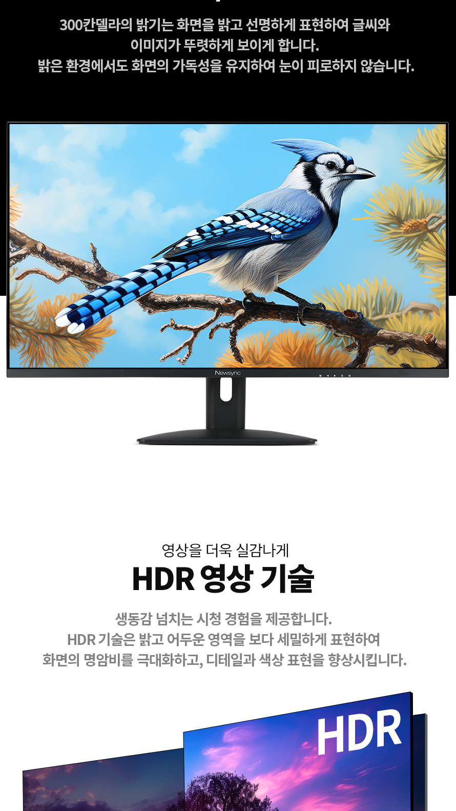비트엠 Newsync 3277UHD IPS 4K HDR 무결점 - HDR 명암비