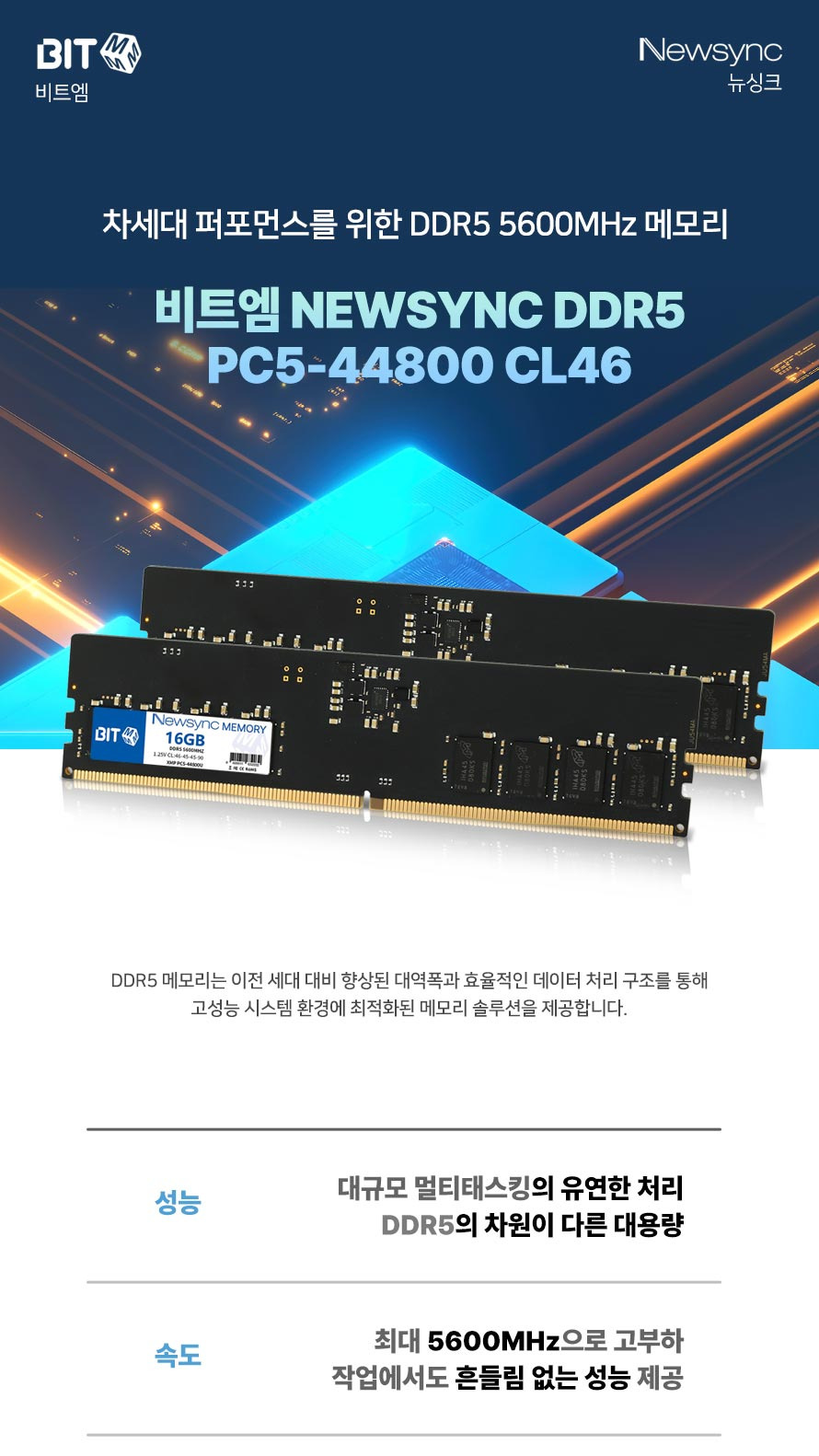 비트엠 Newsync DDR5 PC5-5600 CL46 (16GB) - 제품 핵심 가치 요약
