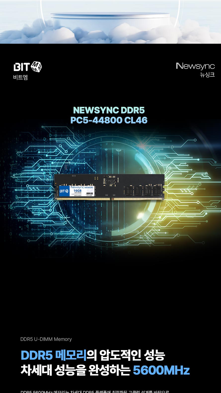 비트엠 Newsync DDR5 PC5-5600 CL46 (16GB) - 메모리의 역할 강조