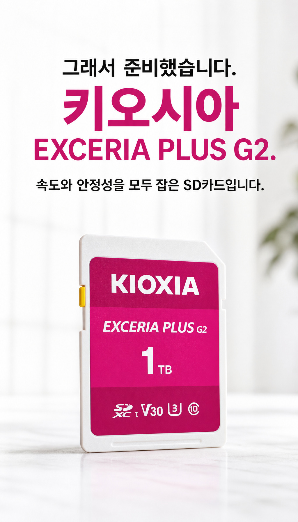 키오시아 SD EXCERIA PLUS G2 (256GB) - 해결사 등장