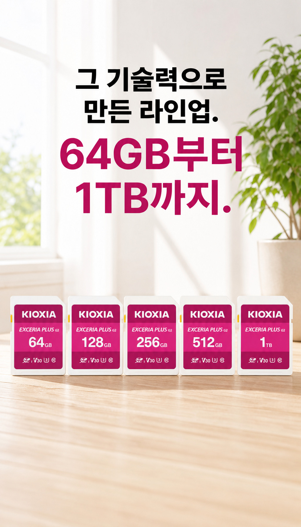 키오시아 SD EXCERIA PLUS G2 (256GB) - 용량 옵션 안내