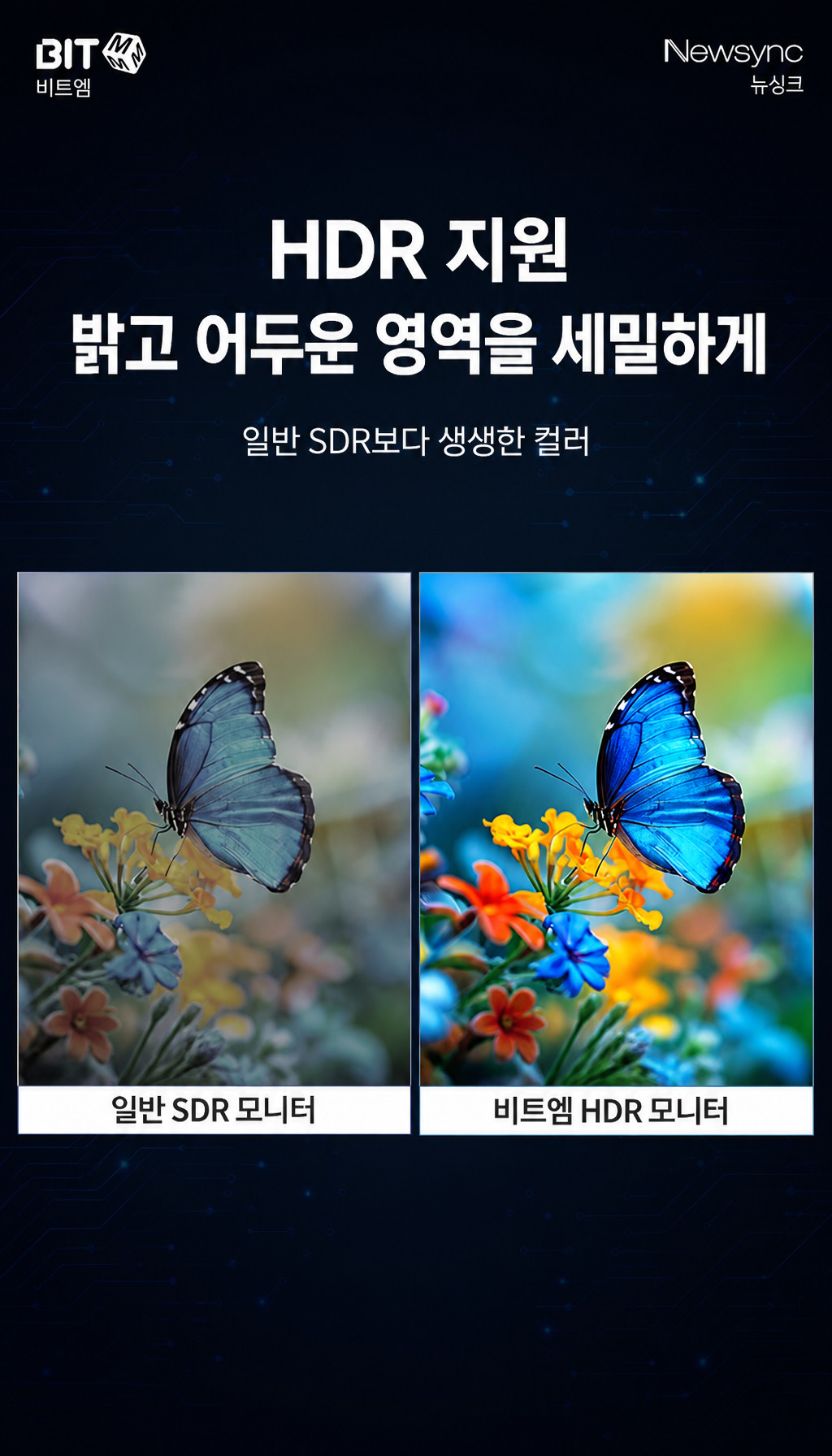비트엠 Newsync P27UHD IPS 4K HDR 블랙 무결점 - HDR 기술의 표현력